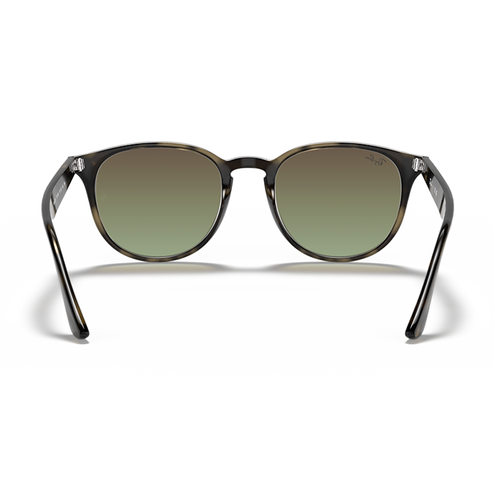 Ochelari de soare Ray-Ban RB4259 731/E8 51 | Marime 51 mm