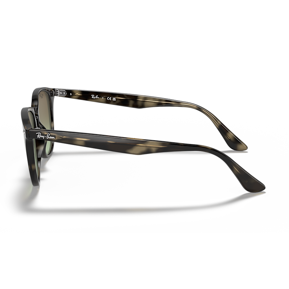Ochelari de soare Ray-Ban RB4259 731/E8 51 | Marime 51 mm