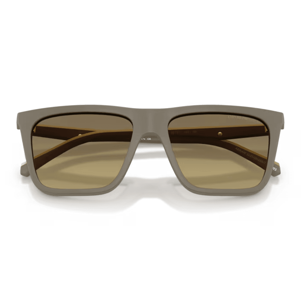 Rame ochelari Emporio Armani EA4258 54371W 54 | Marime 54 mm