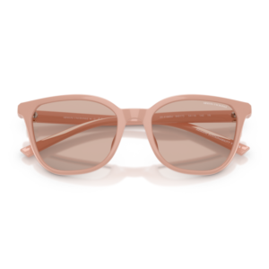 Ochelari de soare Armani Exchange AX4168SU 840173 54 | Marime 54 mm