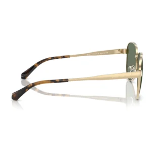 Ochelari de soare Michael Kors MK1160 10143H 61