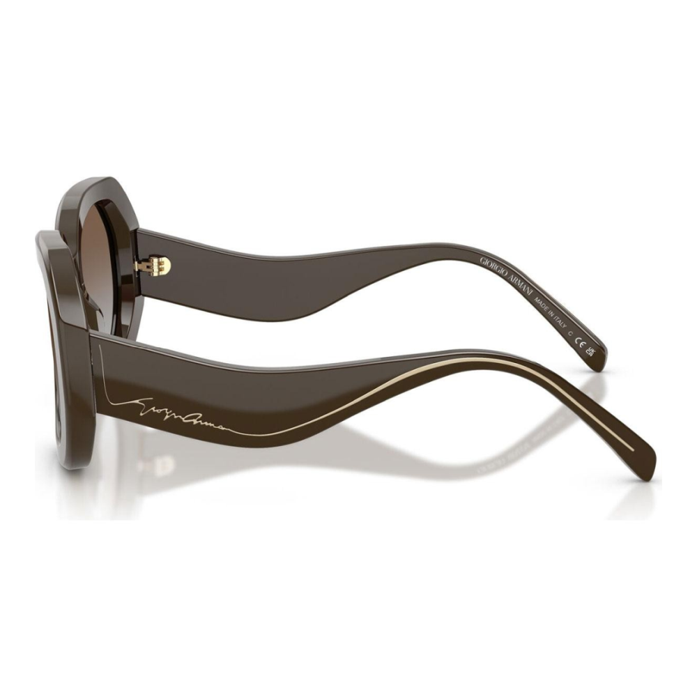 Ochelari de soare Giorgio Armani AR8248 634089 51 | Marime 51 mm