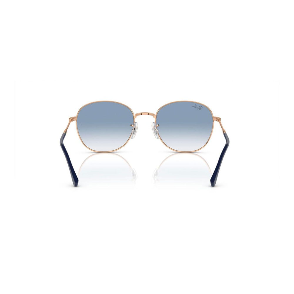 Ochelari de soare Ray-Ban RB3809 92623F 53 | Marime 53 mm