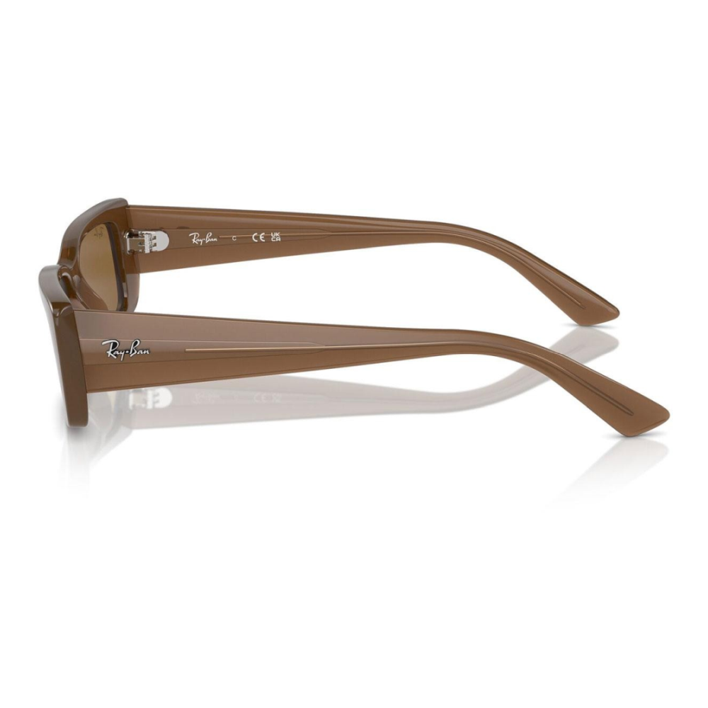 Ochelari de soare Ray-Ban RB4425 677973 54 | Marime 54 mm